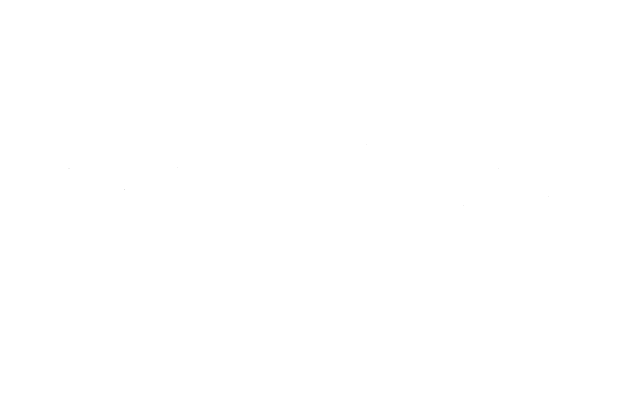 Steelhead Outdoors logo